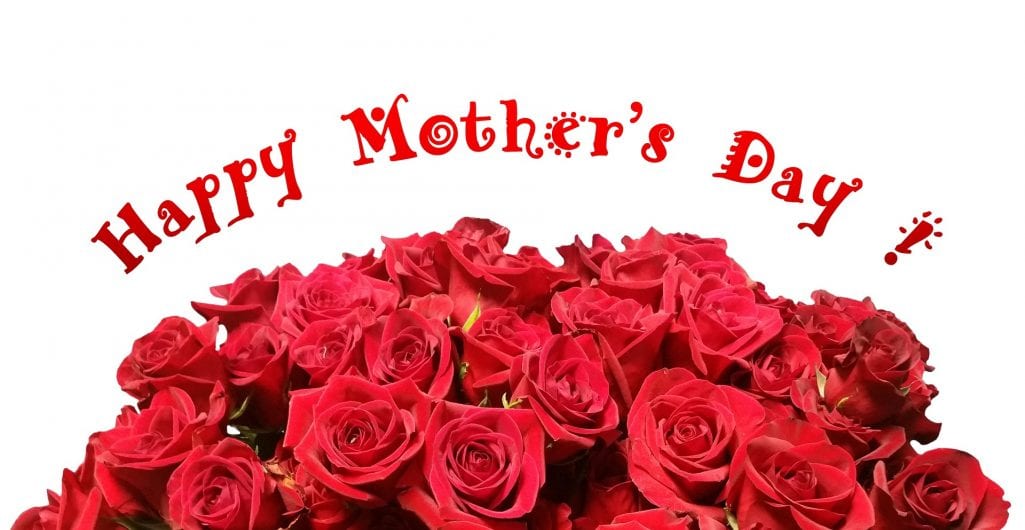 Happy Mother’s Day #moms #furbabymoms #allmoms